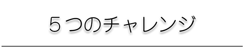 ルナール5つのチャレンジ